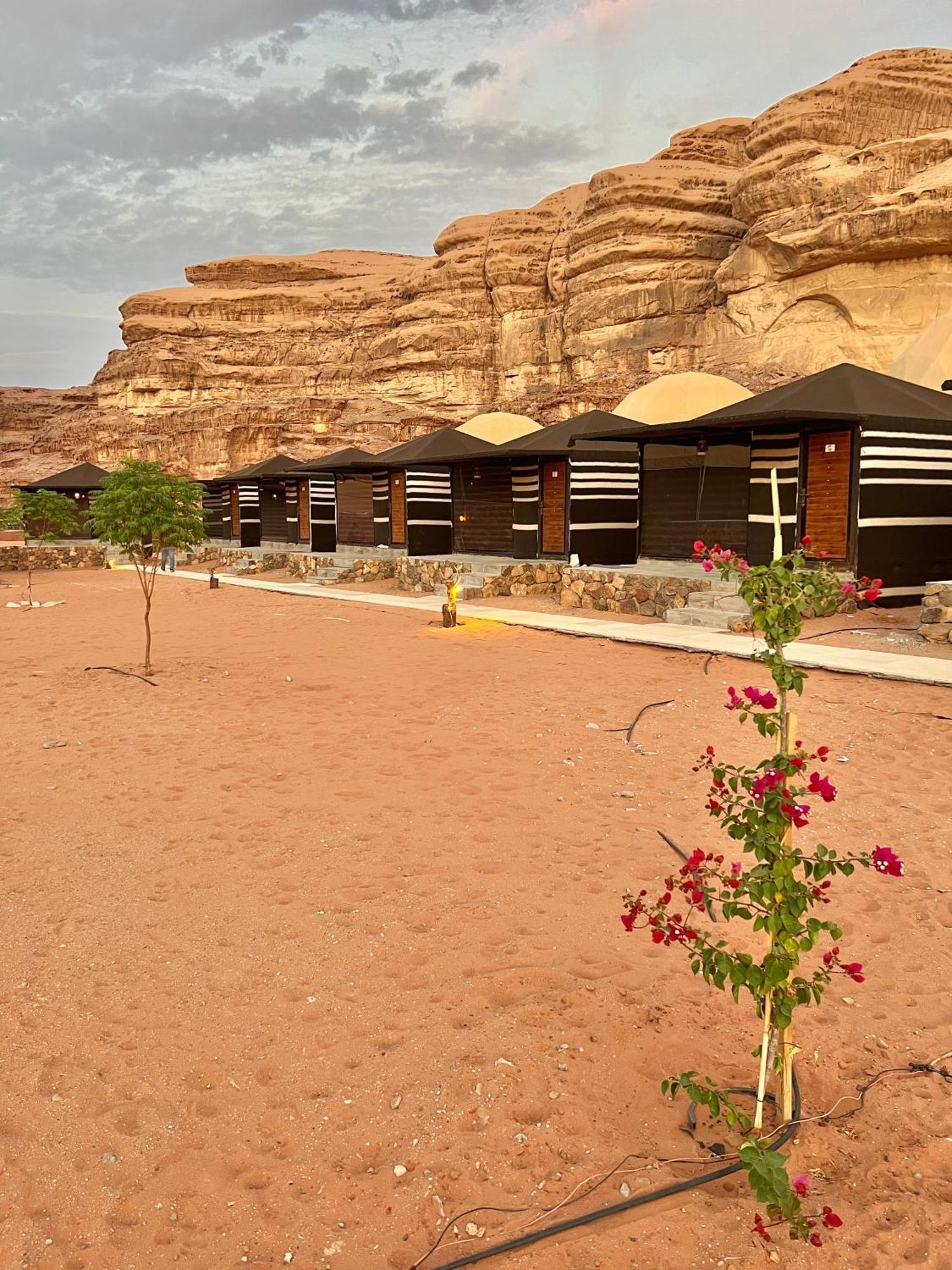 Revan Rum Luxury Camp Wadi Rum Exterior photo